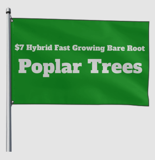 Fast Growing Trees in Northwest Ohio